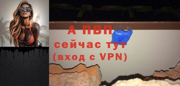 скорость Вяземский