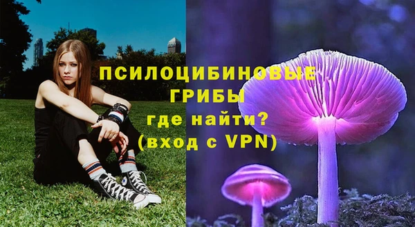 скорость Вяземский