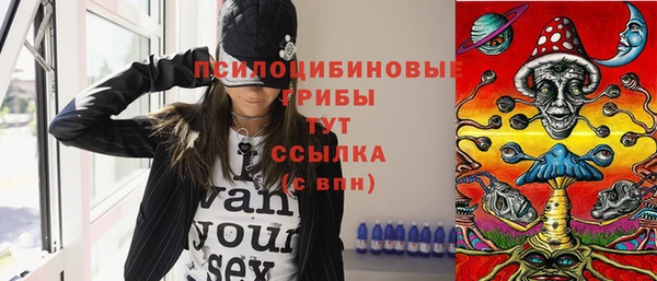 PSILOCYBIN Вязьма