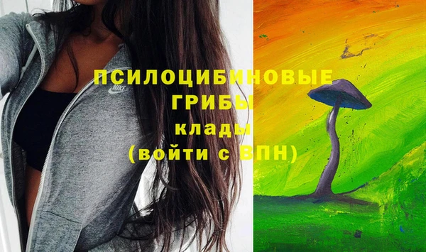 скорость Вяземский