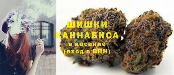 скорость Вяземский