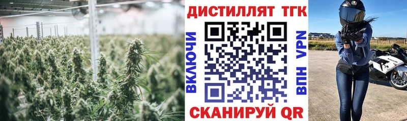 Купить закладки  Харабали  Дистиллят ТГК жижа 